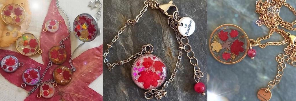 bandeau 1 feuille de vigne nov 2025.jpg